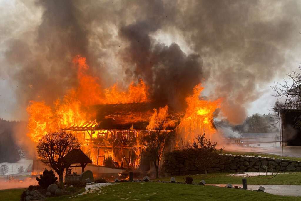 PHOTO-2024-11-26-13-46-31 3