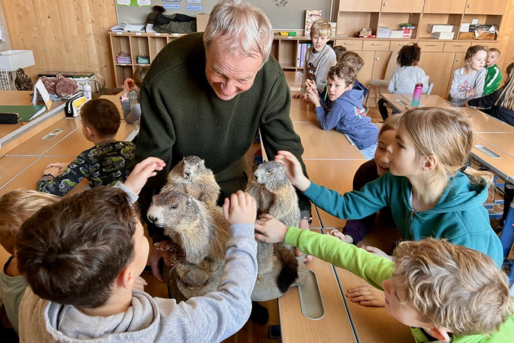 b733350f-6dc4-4603-bbf2-6959652cbff4