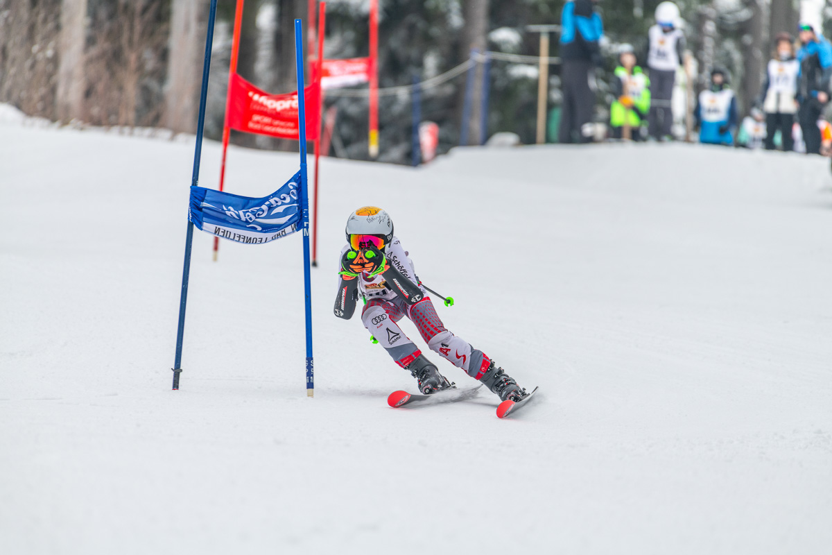 001_2026_02_01_Schi1-178