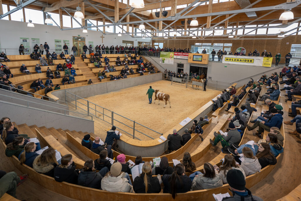 20260204_Versteigerung RZB_MG2182